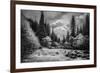 Wild Waterway-Andrew Geiger-Framed Giclee Print