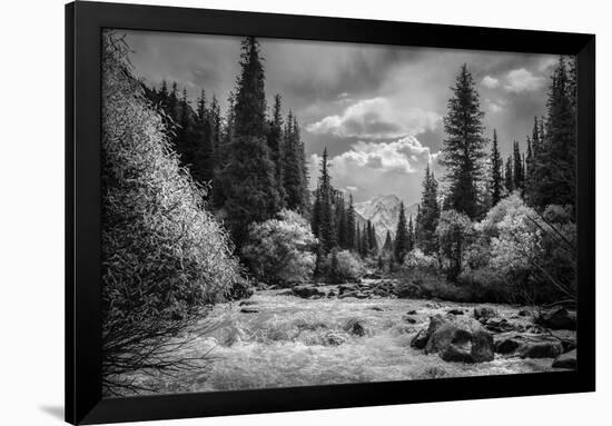 Wild Waterway-Andrew Geiger-Framed Giclee Print