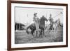Wild West Polo Played By Cowboys on Horses at Coney Island-null-Framed Art Print