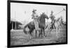 Wild West Polo Played By Cowboys on Horses at Coney Island-null-Framed Art Print