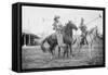 Wild West Polo Played By Cowboys on Horses at Coney Island-null-Framed Stretched Canvas