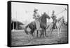 Wild West Polo Played By Cowboys on Horses at Coney Island-null-Framed Stretched Canvas