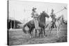 Wild West Polo Played By Cowboys on Horses at Coney Island-null-Stretched Canvas