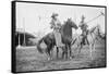 Wild West Polo Played By Cowboys on Horses at Coney Island-null-Framed Stretched Canvas