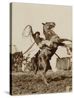 Wild West Show Performer Holds Aloft A Coiled Rope As His Horse Rears Up On His Hind Feet.-null-Stretched Canvas