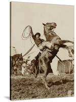 Wild West Show Performer Holds Aloft A Coiled Rope As His Horse Rears Up On His Hind Feet.-null-Stretched Canvas