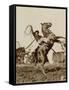 Wild West Show Performer Holds Aloft A Coiled Rope As His Horse Rears Up On His Hind Feet.-null-Framed Stretched Canvas