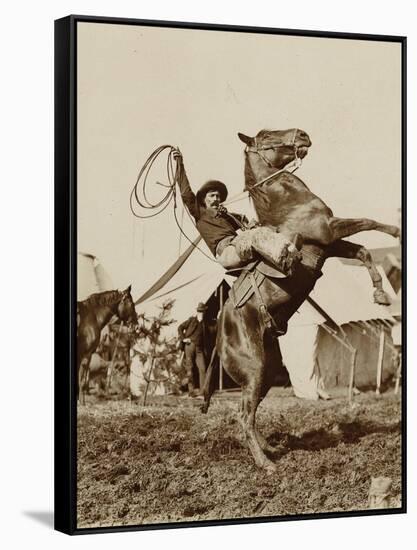 Wild West Show Performer Holds Aloft A Coiled Rope As His Horse Rears Up On His Hind Feet.-null-Framed Stretched Canvas