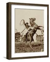 Wild West Show Performer Holds Aloft A Coiled Rope As His Horse Rears Up On His Hind Feet.-null-Framed Art Print