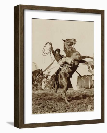 Wild West Show Performer Holds Aloft A Coiled Rope As His Horse Rears Up On His Hind Feet.-null-Framed Art Print