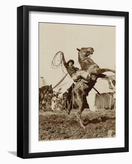 Wild West Show Performer Holds Aloft A Coiled Rope As His Horse Rears Up On His Hind Feet.-null-Framed Art Print