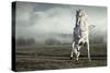 Wild White Horse-conrado-Stretched Canvas