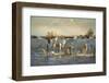 Wild White Horses, Camargue, France, Europe-Janette Hill-Framed Photographic Print