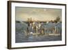 Wild White Horses, Camargue, France, Europe-Janette Hill-Framed Photographic Print