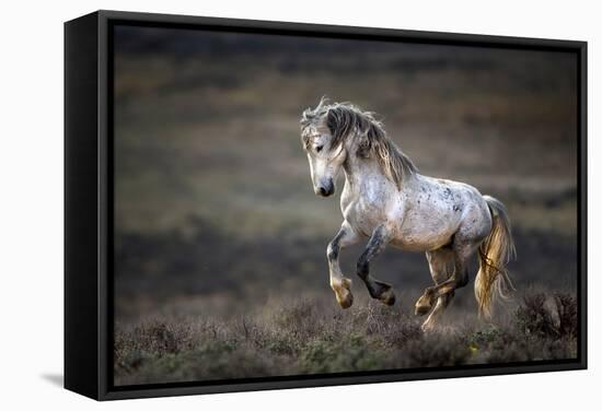 Wild Wild West-Verdon-Framed Stretched Canvas