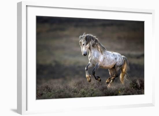 Wild Wild West-Verdon-Framed Photographic Print