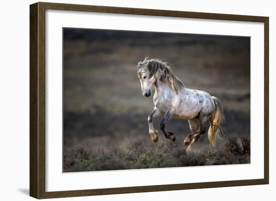 Wild Wild West-Verdon-Framed Photographic Print