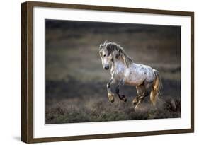 Wild Wild West-Verdon-Framed Photographic Print