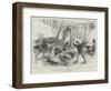 Wild Wolves in London, an Incident at Sanger's Amphitheatre-null-Framed Giclee Print