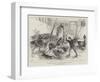 Wild Wolves in London, an Incident at Sanger's Amphitheatre-null-Framed Giclee Print