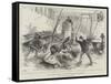 Wild Wolves in London, an Incident at Sanger's Amphitheatre-null-Framed Stretched Canvas