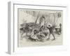 Wild Wolves in London, an Incident at Sanger's Amphitheatre-null-Framed Giclee Print