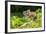 Wild Wood Mouse Resting on the Root of a Tree on the Forest Floor with Lush Green Vegetation-Rudmer Zwerver-Framed Photographic Print