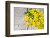 Wild Yellow Flowers Closeup on Rustic Wooden Background-Marylooo-Framed Photographic Print