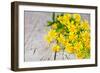 Wild Yellow Flowers Closeup on Rustic Wooden Background-Marylooo-Framed Photographic Print