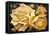 Wild Yellow Roses-Lea Faucher-Framed Stretched Canvas