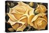 Wild Yellow Roses-Lea Faucher-Stretched Canvas