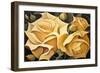 Wild Yellow Roses-Lea Faucher-Framed Art Print