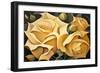 Wild Yellow Roses-Lea Faucher-Framed Art Print