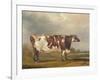 Wildair, an Eight-Year-Old Heifer in a River Landscape, 1827-Thomas Weaver-Framed Giclee Print