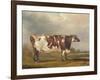 Wildair, an Eight-Year-Old Heifer in a River Landscape, 1827-Thomas Weaver-Framed Giclee Print