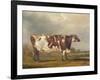 Wildair, an Eight-Year-Old Heifer in a River Landscape, 1827-Thomas Weaver-Framed Giclee Print