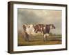 Wildair, an Eight-Year-Old Heifer in a River Landscape, 1827-Thomas Weaver-Framed Giclee Print