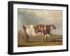 Wildair, an Eight-Year-Old Heifer in a River Landscape, 1827-Thomas Weaver-Framed Giclee Print