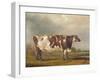 Wildair, an Eight-Year-Old Heifer in a River Landscape, 1827-Thomas Weaver-Framed Giclee Print