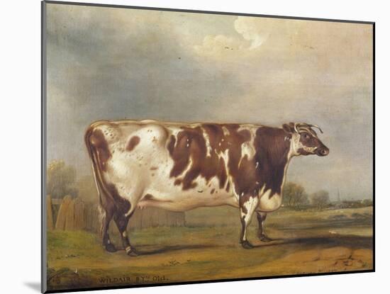 Wildair, an Eight-Year-Old Heifer in a River Landscape, 1827-Thomas Weaver-Mounted Giclee Print