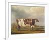 Wildair' an Eight-Year-Old Heifer in a River Landscape, 1827-Thomas Weaver-Framed Giclee Print