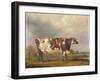 Wildair' an Eight-Year-Old Heifer in a River Landscape, 1827-Thomas Weaver-Framed Giclee Print