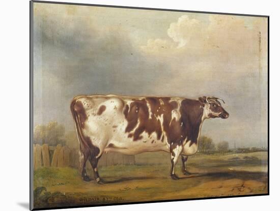 Wildair' an Eight-Year-Old Heifer in a River Landscape, 1827-Thomas Weaver-Mounted Giclee Print