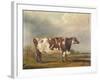 Wildair' an Eight-Year-Old Heifer in a River Landscape, 1827-Thomas Weaver-Framed Giclee Print