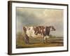 Wildair' an Eight-Year-Old Heifer in a River Landscape, 1827-Thomas Weaver-Framed Giclee Print