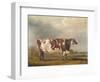 Wildair' an Eight-Year-Old Heifer in a River Landscape, 1827-Thomas Weaver-Framed Giclee Print