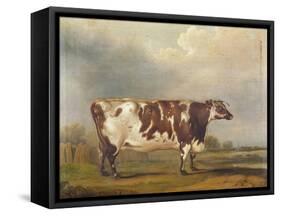 Wildair' an Eight-Year-Old Heifer in a River Landscape, 1827-Thomas Weaver-Framed Stretched Canvas