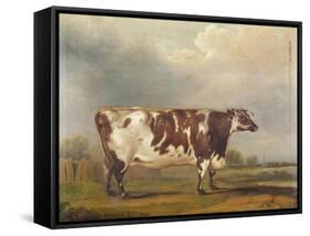 Wildair' an Eight-Year-Old Heifer in a River Landscape, 1827-Thomas Weaver-Framed Stretched Canvas