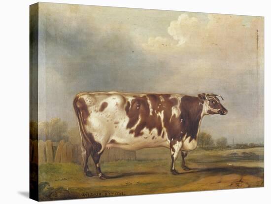 Wildair' an Eight-Year-Old Heifer in a River Landscape, 1827-Thomas Weaver-Stretched Canvas