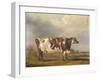 Wildair' an Eight-Year-Old Heifer in a River Landscape, 1827-Thomas Weaver-Framed Giclee Print